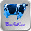 blue_fat_cow