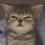 Kirin_Purr