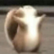 不爱吃桃的吗喽