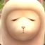 未來夢夢
