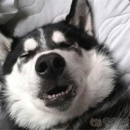 白嫖一时爽,一直白嫖一直爽