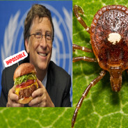 lone star tick