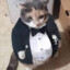 Joaco Cat