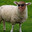 Microsoft Outlook