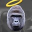 Harambe