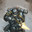 Brother Orion's Avatar