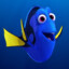 Dory