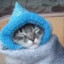 облик