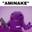 AMINAKE