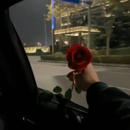 𝙨𝙠𝙪𝙡𝙡𝙨