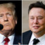 Elon Trump