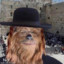 Jewbacca