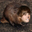 Justin Bobr