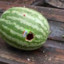 WatermelonBanger