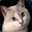 Archimondes