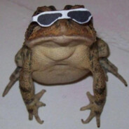 kitidiot