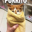 XZBurritoCat