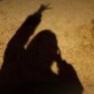 白山茶与玫瑰花