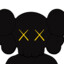 KAWS_COMPANION