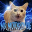 Mr Motorcycle