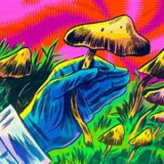 magic mushrooms