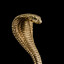 Cobra