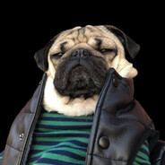 РОМА ШУРОПОВЁРТ