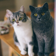 我用徒手敬岁月