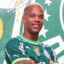 BRENOPALMEIRAS