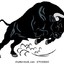 Taurus