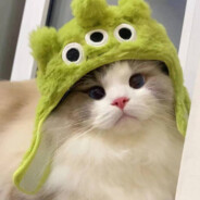 超级无敌暴龙战士