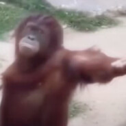 求求你让我玩原神吧