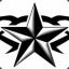 AdiStarFly