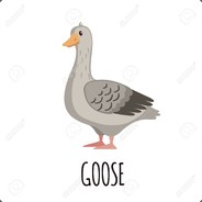 Goose
