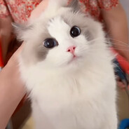 玩家头像