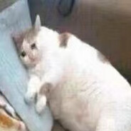 顺直男屁眼里的大跳蛋