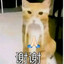 Meowigga