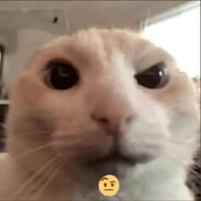 究极霹雳暴龙王