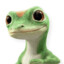 Mr.Gecko