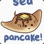 Sea Pancake