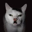 Adolf Kittler