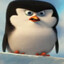 Skipper