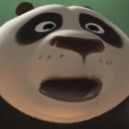 Кунг-фу ПАДЛА