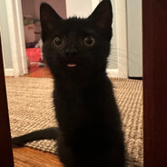 Khoi