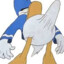 DonaldTheDuck