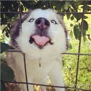 天字一号白给王