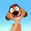 TIMON