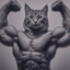 muscle cat