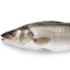 Branzino