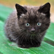 Миленький Пиздюк